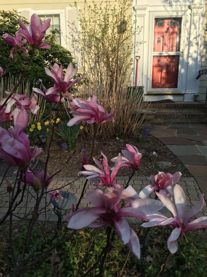 Wellesley Bed And Breakfast Dış mekan fotoğraf